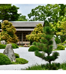 Fenntartható kertápolás modern megoldásokkal