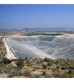 Firestone Elevate Brand váltás – Az Innováció és Fenntarthatóság Új Korszaka 