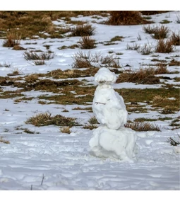 Téli Kerti Teendők: Hogyan Készüljünk Fel a Tavaszra?