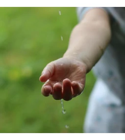 7+1 ötlet a sikeres esővízgyűjtéshez