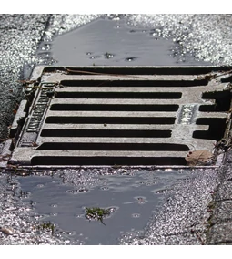 Az Olajleválasztók Szerepe és Szabályozása Magyarországon