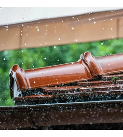 Őszi karbantartás a kertben: esővízgyűjtők és szűrők tisztítása