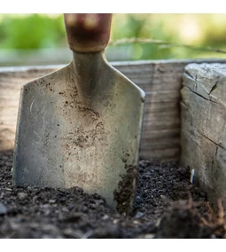 Gyakori kertészkedési hibák és hogyan kerüljük el őket