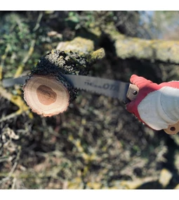 Téli kertápolás – Hogyan gondoskodjon kertjéről a hideg hónapokban?