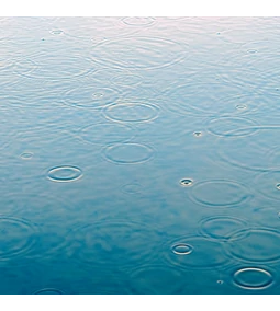 Májusi Eső: Hogyan Hasznosíthatjuk az Esővizet és Gondoskodhatunk Fenntartható Öntözésünkről?