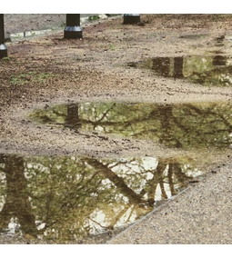 Megáll a víz az udvaron? Tócsás kert, felázott talaj? Tartós megoldások esővízgyűjtéssel és szikkasztással