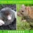 Kép 4/7 - Vakondriasztó elemes, 100 m2 területre - sunikft.hu