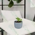 Kép 1/3 - MILLY virágcserép, világosszürke 24 cm - sunikft.hu