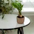 Kép 3/3 - MILLY virágcserép, világosszürke 24 cm - sunikft.hu