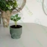 Kép 2/2 - MILLY virágcserép, fenyőzöld, 27 cm - sunikft.hu