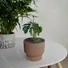 Kép 2/2 - MILLY virágcserép, rusztikus tégla, 27 cm - sunikft.hu