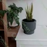 Kép 2/2 - MILLY virágcserép, antracit, 27 cm  - sunikft.hu