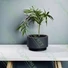 Kép 2/2 - HEOS virágcserép, antracit, 29 cm  - sunikft.hu