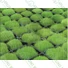 Kép 2/5 - Gyeprács, ECO Gyeprács T50-5 (fekete) - 5 mm falvastagság - sunikft.hu