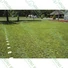 Kép 3/5 - TERRA műanyag gyeprács, zöld színű,  493 × 493 × 40 mm – 0,24 m² - sunikft.hu