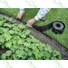 Kép 3/5 - TERRA PP gyepszegély, zöld színű, 15 cm x 9 m - sunikft.hu