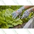 Kép 2/4 - Miss Flower kerti kesztyű, vegyes színű, 7/S - sunikft.hu