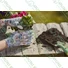 Kép 3/4 - Miss Flower kerti kesztyű, vegyes színű, 7/S-8/M - sunikft.hu
