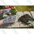 Kép 3/4 - Miss Flower kerti kesztyű, vegyes színű, 8/M - sunikft.hu