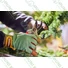 Kép 2/5 - Vitis kertészeti kesztyű, színű, 9/L - sunikft.hu