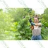 Kép 4/4 - Viola kertészeti kesztyű, színű, 10/XL - sunikft.hu