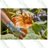 Kép 5/6 - Gardenluxe Kids kesztyű, lányoknak, 5/XXS - sunikft.hu