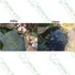 Kép 4/6 - BioBird algamentesítő tavakhoz – 90 napos adag (10 000 literhez)  - sunikft.hu
